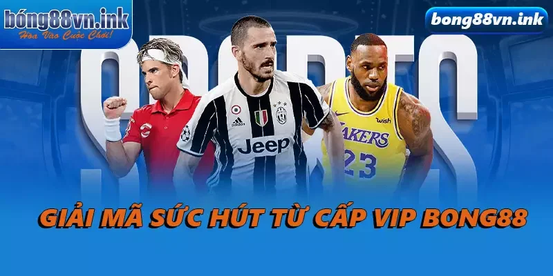 Giải mã sức hút từ cấp VIP Bong88